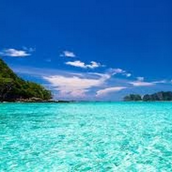 Meet your Posher, Awesomewhite1 - Picture 1 of 1